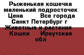 Рыженькая кошечка маленький подросточек › Цена ­ 10 - Все города, Санкт-Петербург г. Животные и растения » Кошки   . Иркутская обл.